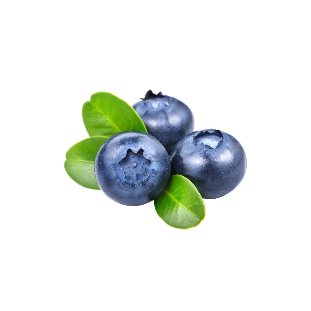 Arandano Entero 1 kg, Interagro