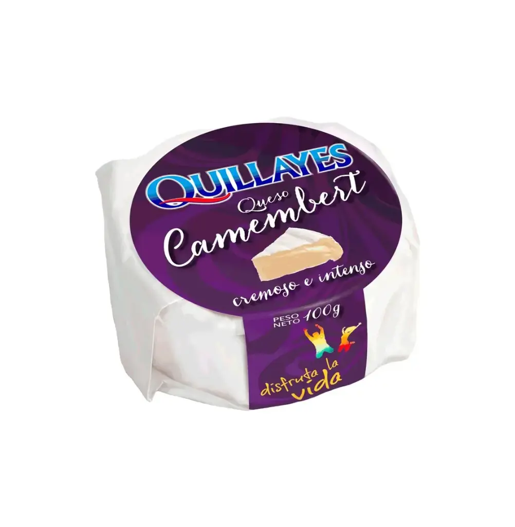QUESO CAMEMBERT QUILLAYES 100GR                               