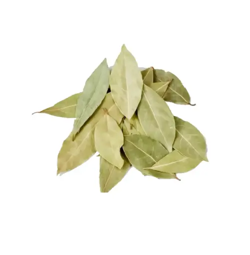 [1806] LAUREL EN HOJAS 25 X 5 GR                                     