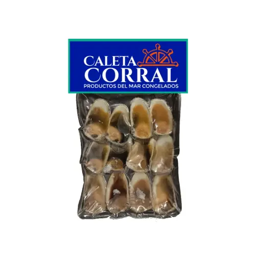 [1028] MACHAS BANDEJA C/CONCHA 12 UN CALETA CORRAL                   