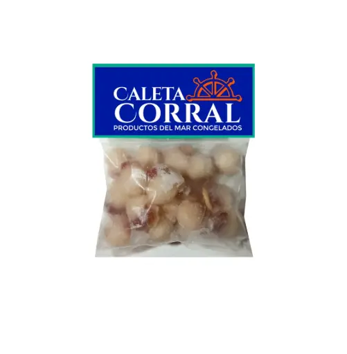 [1091] OSTION CON CORAL 500 GR CALETA CORRAL              
