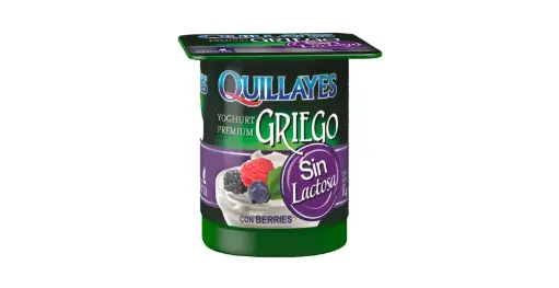 [7590] YOGUR GRIEGO S/LACTOSA BERRIES QUILLAYES 4X110GR              